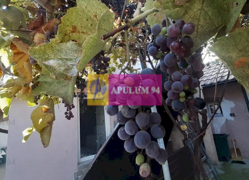 Casa pe Calea Plevnei langa Spitalul Militar